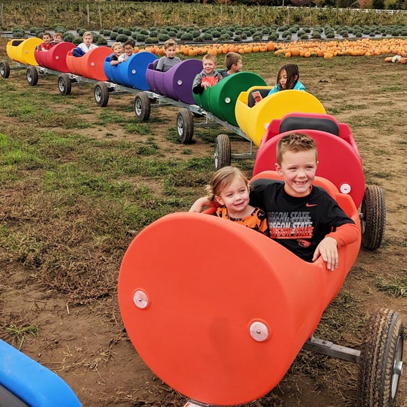 Activities at Fall Harvest Festival - Red Berry Barn in Sherwood, OR