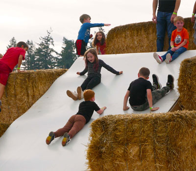 hay-slide Hay Slide - Harvest Festival Fun in Sherwood, Oregon